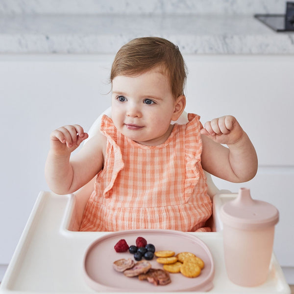 Silicone Bowl + Spout Cup Pink