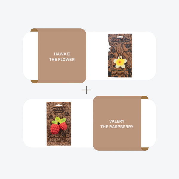 Hawaii The Flower + Valery The Raspberry Chewy Teether