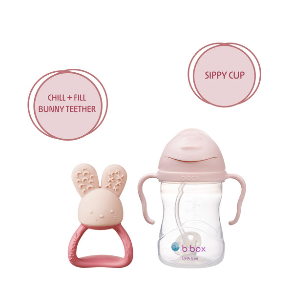 Weighted Straw Sippy Cup + Chill & Fill Teether Pink