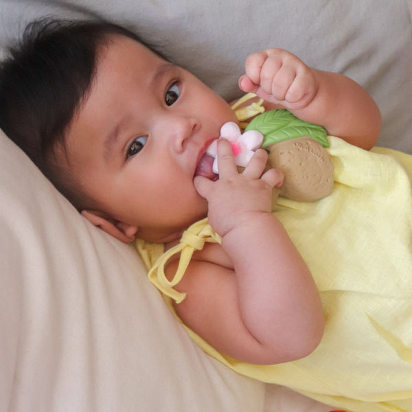 Oli & Carol Aly The Almond Natural Rubber Teether