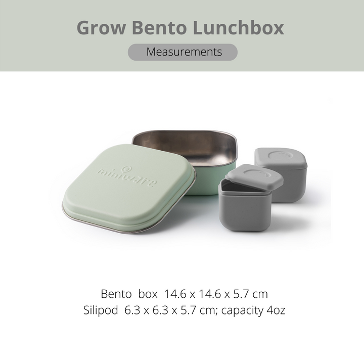 Miniware Grow Bento with 2 silipods Lunch Box-Key Lime/Grey - Sohii India
